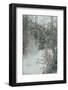 Glacier Run Wild-null-Framed Photographic Print