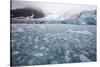 Glacier, Spitsbergen Island, Svalbard, Norway-Paul Souders-Stretched Canvas