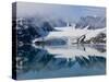 Glacier, Spitzbergen, Svalbard, Norway, Arctic, Scandinavia, Europe-Thorsten Milse-Stretched Canvas