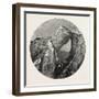 Glacier Structure on the Mer De Glace, Switzerland, 19th Century-null-Framed Giclee Print