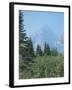 Glacier T-Gordon Semmens-Framed Photographic Print