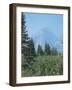 Glacier T-Gordon Semmens-Framed Photographic Print