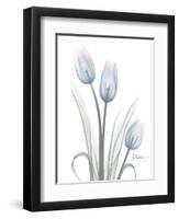 Glacier Tulip Trio 1-Albert Koetsier-Framed Art Print