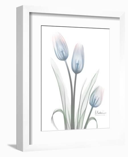 Glacier Tulip Trio 1-Albert Koetsier-Framed Art Print