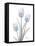 Glacier Tulip Trio 2-Albert Koetsier-Framed Stretched Canvas