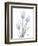 Glacier Tulip Trio 2-Albert Koetsier-Framed Art Print