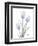 Glacier Tulip Trio 2-Albert Koetsier-Framed Art Print