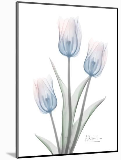 Glacier Tulip Trio 2-Albert Koetsier-Mounted Art Print