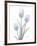 Glacier Tulip Trio 2-Albert Koetsier-Framed Art Print