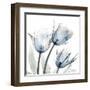 Glacier Tulips 1-Albert Koetsier-Framed Art Print