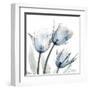 Glacier Tulips 1-Albert Koetsier-Framed Art Print