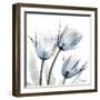 Glacier Tulips 1-Albert Koetsier-Framed Art Print