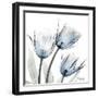 Glacier Tulips 1-Albert Koetsier-Framed Art Print