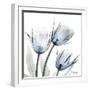 Glacier Tulips 1-Albert Koetsier-Framed Art Print