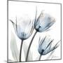 Glacier Tulips 1-Albert Koetsier-Mounted Art Print