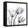 Glacier Tulips 1-Albert Koetsier-Framed Stretched Canvas