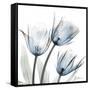 Glacier Tulips 1-Albert Koetsier-Framed Stretched Canvas
