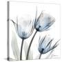 Glacier Tulips 1-Albert Koetsier-Stretched Canvas
