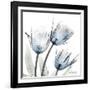 Glacier Tulips 1-Albert Koetsier-Framed Art Print