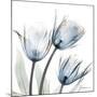 Glacier Tulips 1-Albert Koetsier-Mounted Art Print