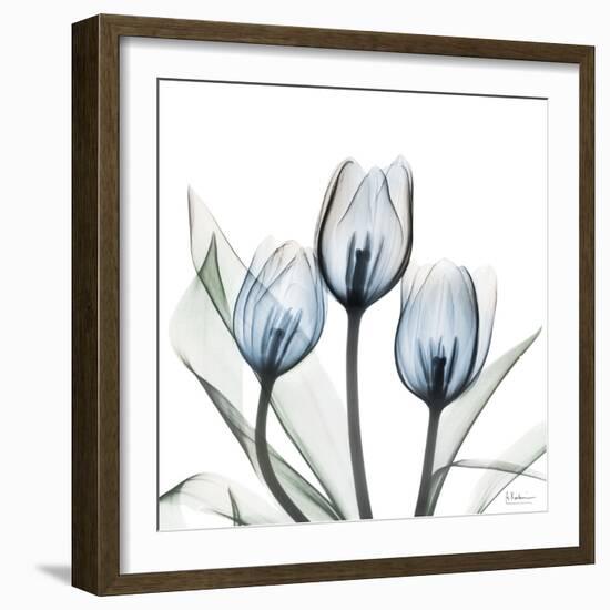 Glacier Tulips 2-Albert Koetsier-Framed Art Print