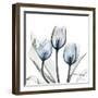 Glacier Tulips 2-Albert Koetsier-Framed Art Print