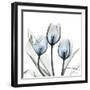 Glacier Tulips 2-Albert Koetsier-Framed Art Print