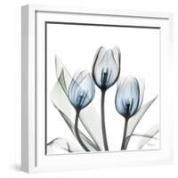 Glacier Tulips 2-Albert Koetsier-Framed Art Print