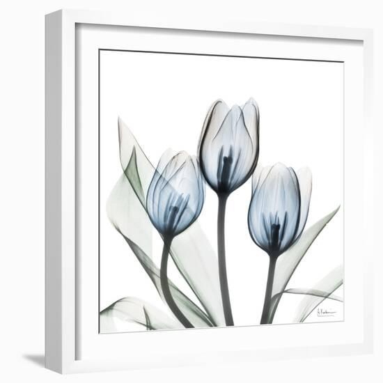 Glacier Tulips 2-Albert Koetsier-Framed Art Print