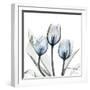 Glacier Tulips 2-Albert Koetsier-Framed Art Print