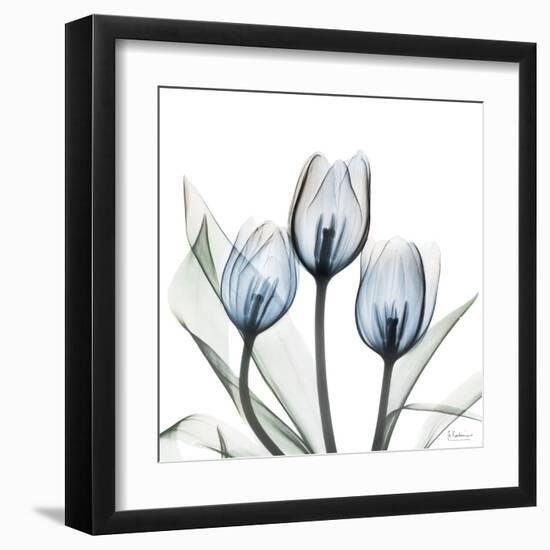 Glacier Tulips 2-Albert Koetsier-Framed Art Print