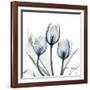Glacier Tulips 2-Albert Koetsier-Framed Art Print