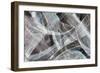 Glacier VI-Albena Hristova-Framed Art Print