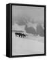 Glaciers and Icefields Seen along Columbia Icefield Highway between Banff and Jasper-Andreas Feininger-Framed Stretched Canvas