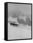 Glaciers and Icefields Seen along Columbia Icefield Highway between Banff and Jasper-Andreas Feininger-Framed Stretched Canvas