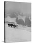 Glaciers and Icefields Seen along Columbia Icefield Highway between Banff and Jasper-Andreas Feininger-Stretched Canvas