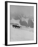 Glaciers and Icefields Seen along Columbia Icefield Highway between Banff and Jasper-Andreas Feininger-Framed Photographic Print