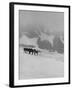 Glaciers and Icefields Seen along Columbia Icefield Highway between Banff and Jasper-Andreas Feininger-Framed Photographic Print