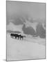 Glaciers and Icefields Seen along Columbia Icefield Highway between Banff and Jasper-Andreas Feininger-Mounted Photographic Print