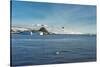 Glaciers in Hope Bay, Antarctica, Polar Regions-Michael Runkel-Stretched Canvas