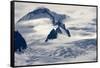 Glaciers Near Hallo Bay in Katmai National Park-Paul Souders-Framed Stretched Canvas