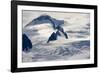 Glaciers Near Hallo Bay in Katmai National Park-Paul Souders-Framed Photographic Print