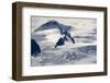 Glaciers Near Hallo Bay in Katmai National Park-Paul Souders-Framed Photographic Print