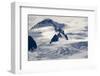 Glaciers Near Hallo Bay in Katmai National Park-Paul Souders-Framed Photographic Print