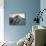 Glaciers on Mount Saint Helens-null-Photographic Print displayed on a wall