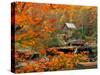 Glade Creek Grist Mill-Ron Watts-Stretched Canvas