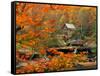 Glade Creek Grist Mill-Ron Watts-Framed Stretched Canvas