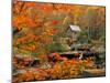 Glade Creek Grist Mill-Ron Watts-Mounted Premium Photographic Print