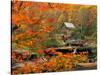 Glade Creek Grist Mill-Ron Watts-Stretched Canvas