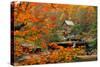 Glade Creek Grist Mill-Ron Watts-Stretched Canvas